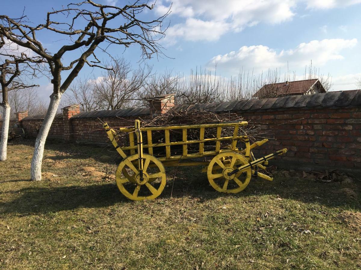 Matanovi Dvori Villa *